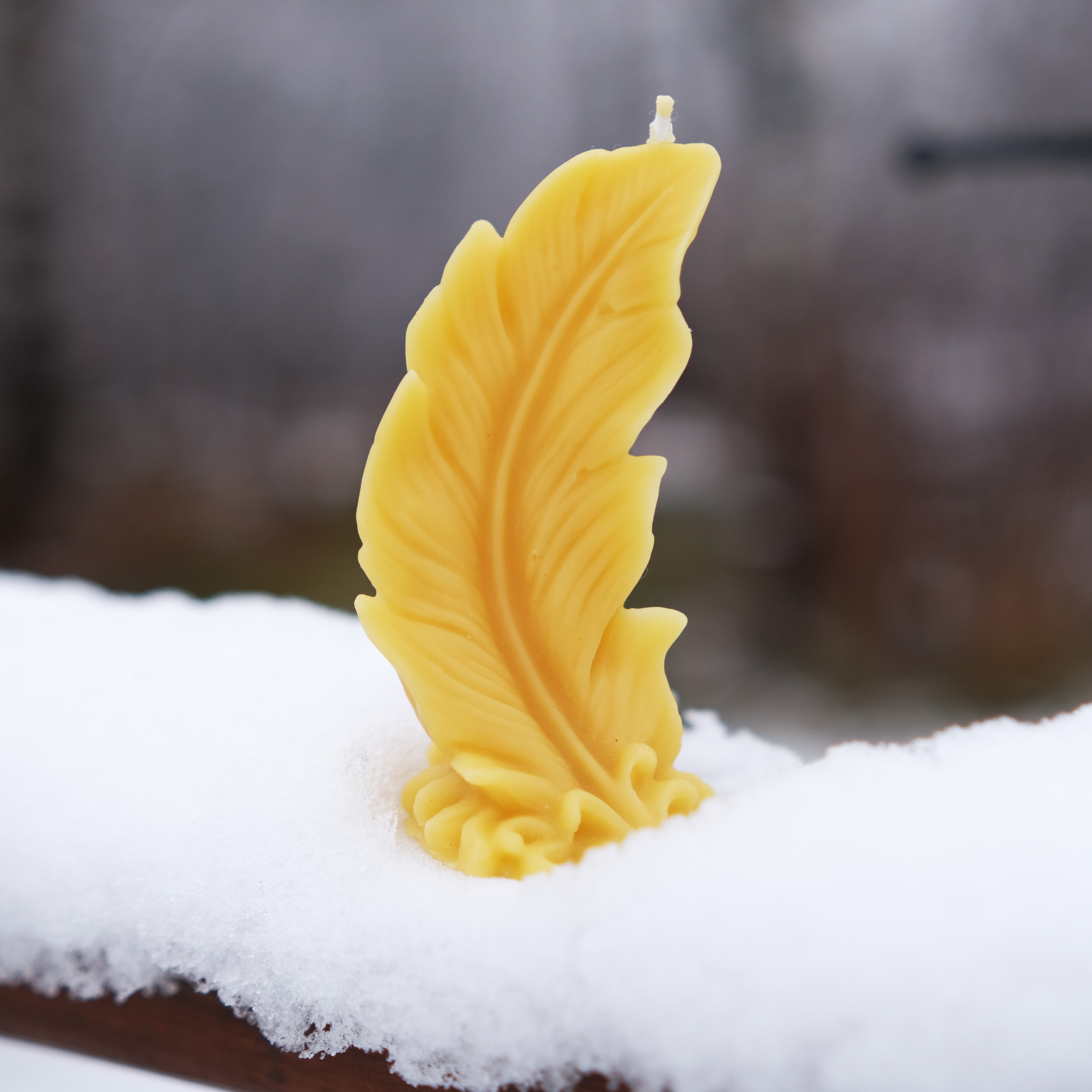 Yellow Feather