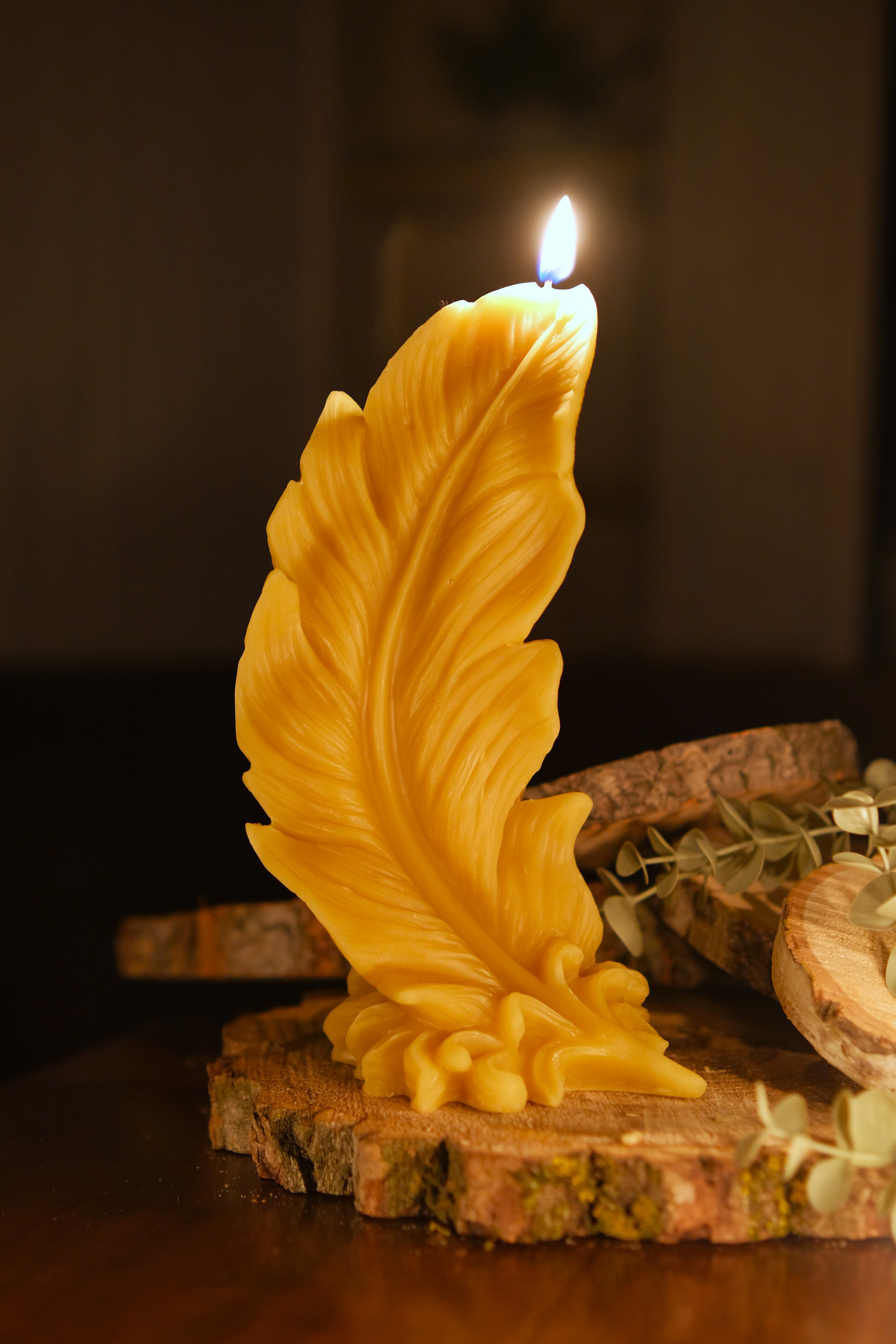 Large Yellow Feather