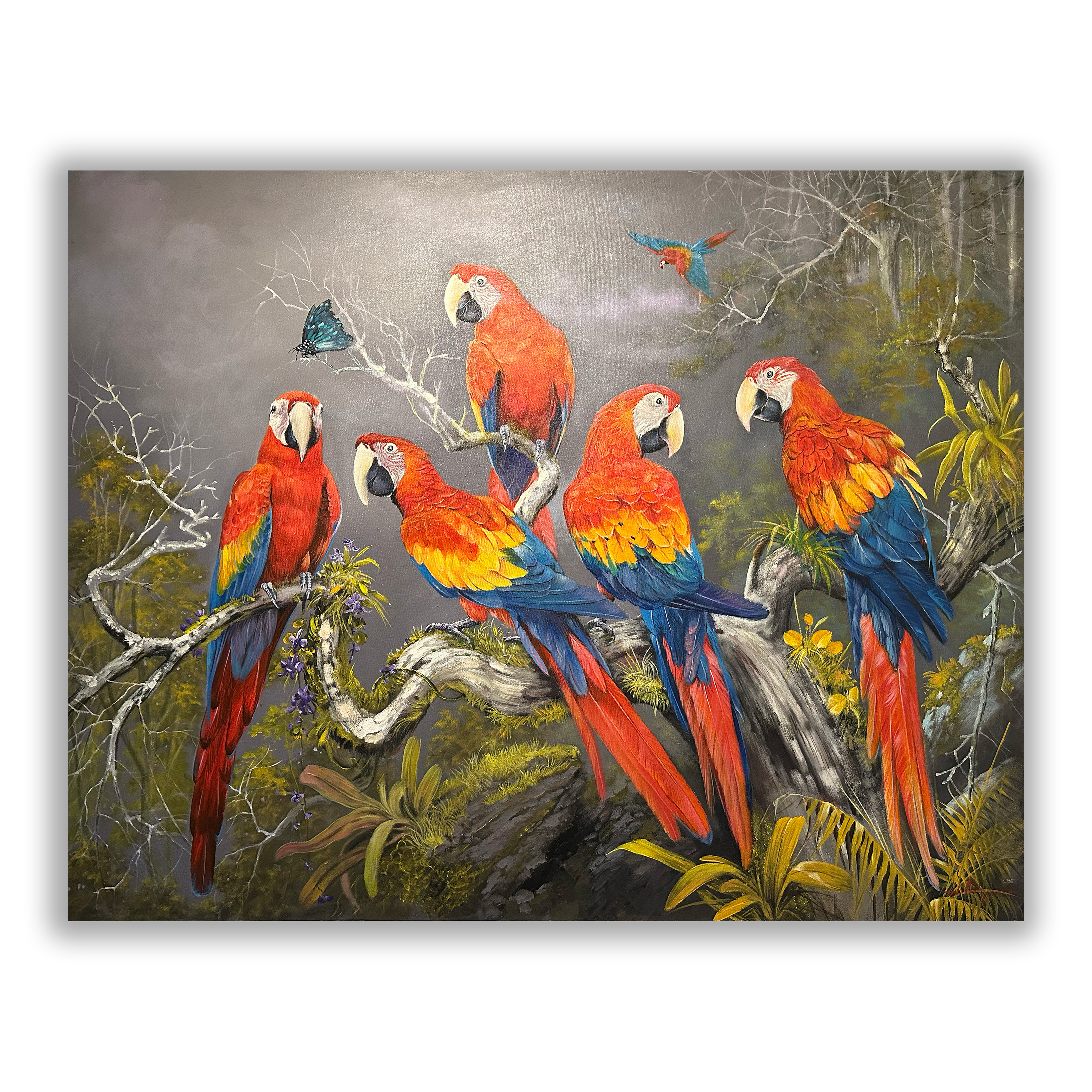 Burung Macaw