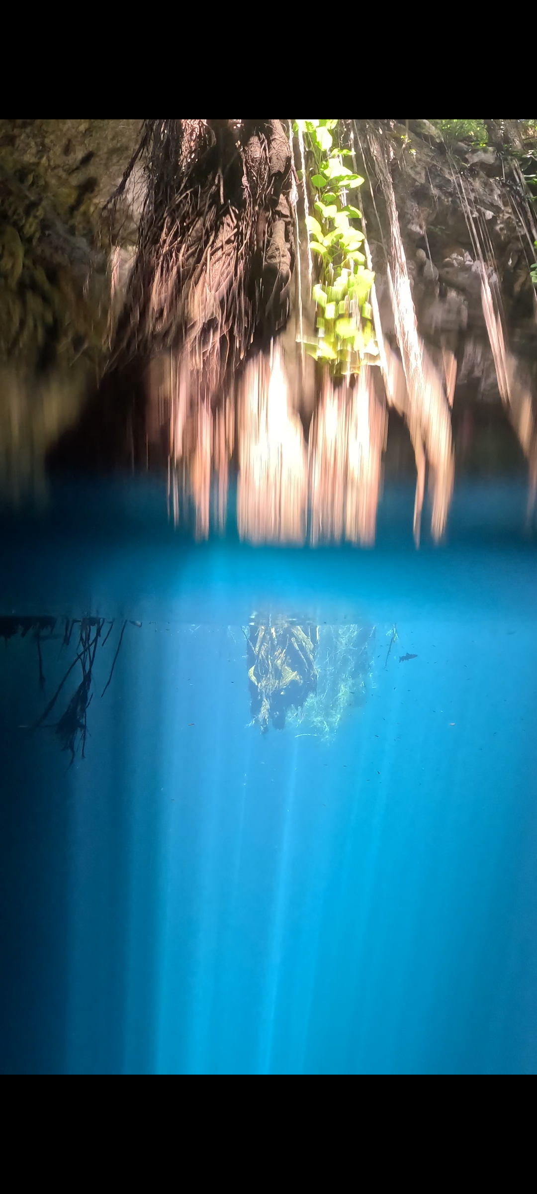 Experiencia de Freediving 