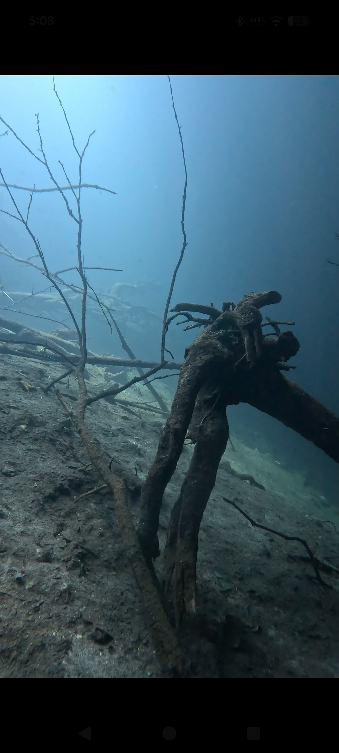 Explora Cenotes en Scuba