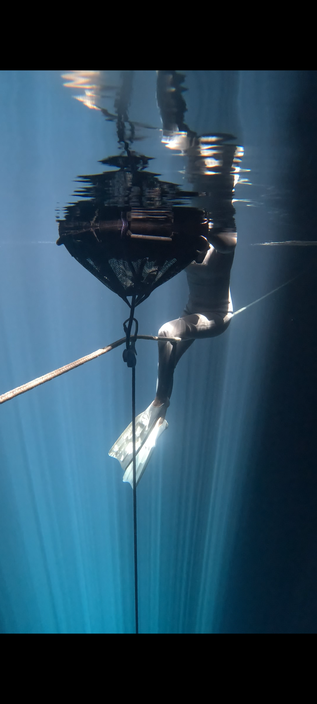 Experiencia de Freediving 