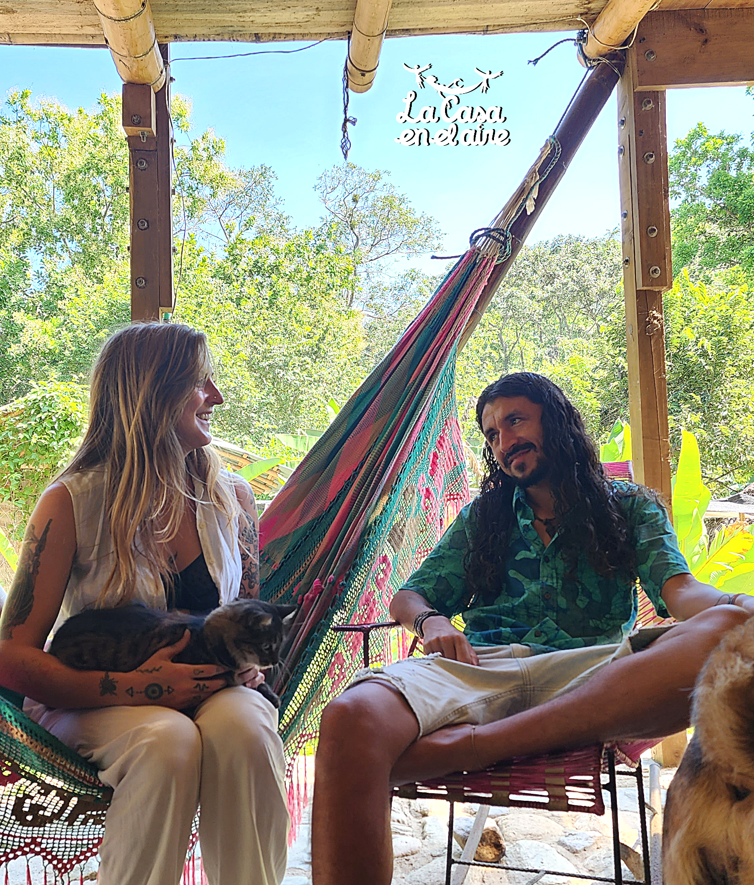 Vital Essence Cabin x2