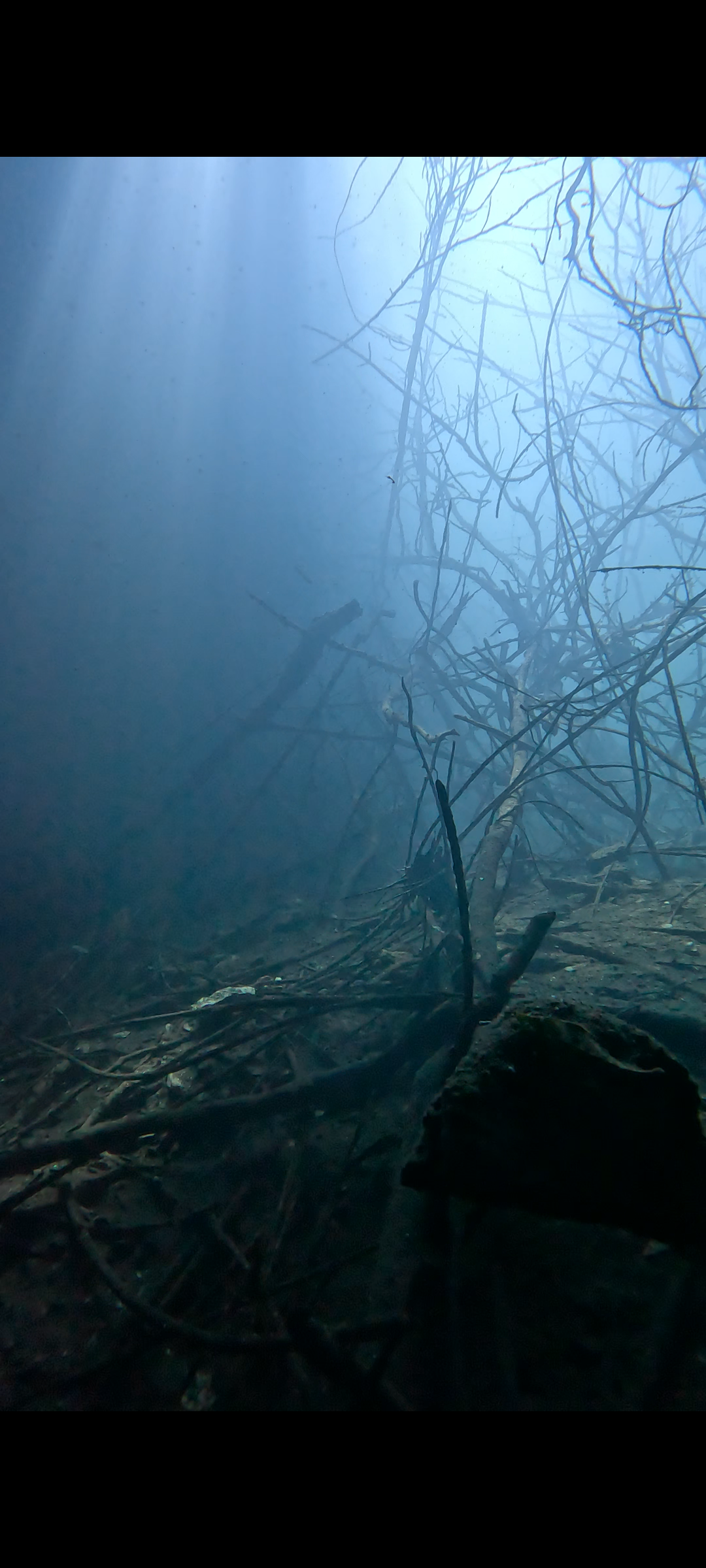 Curso Open Water Scuba