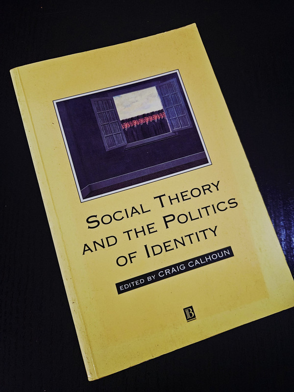 Social Theory and the Politics of Identity