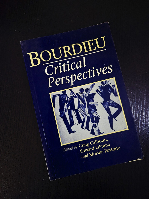 Bourdieu: Critical Perspectives