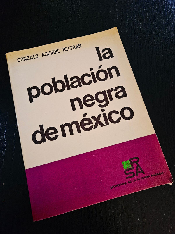 La población negra de México