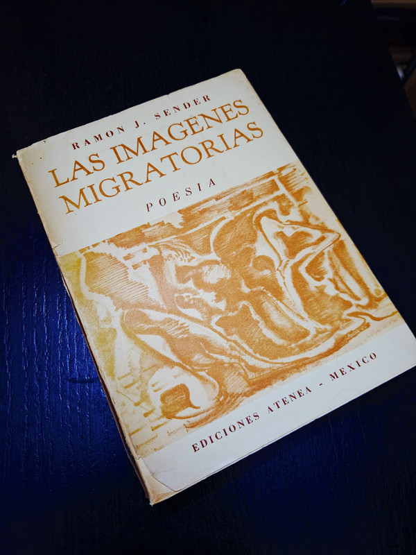 Las Imágenes Migratorias