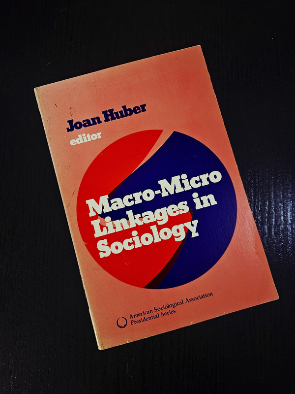 Macro-Micro Linkages in Sociology