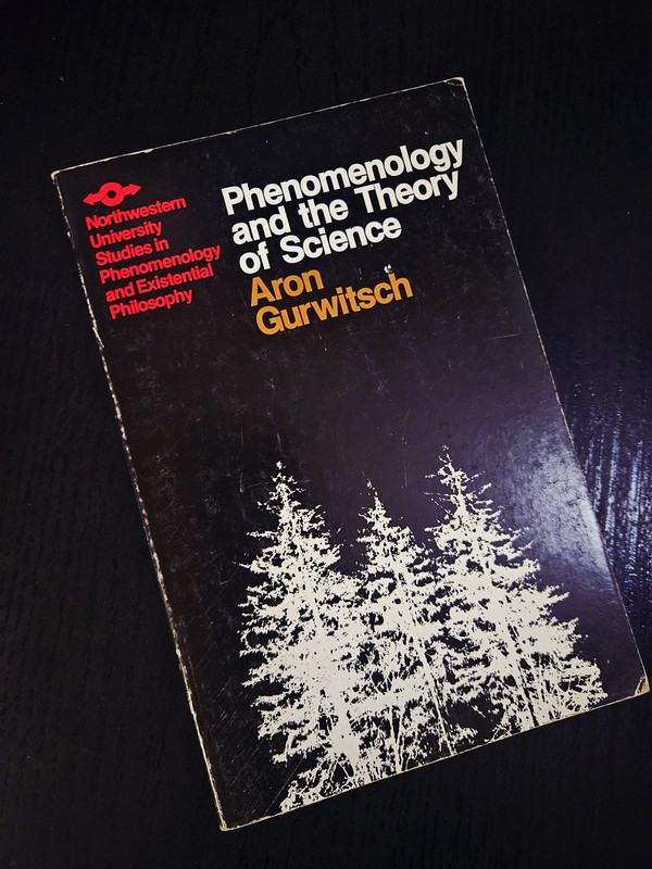 Fenomenología y la teoría de la ciencia