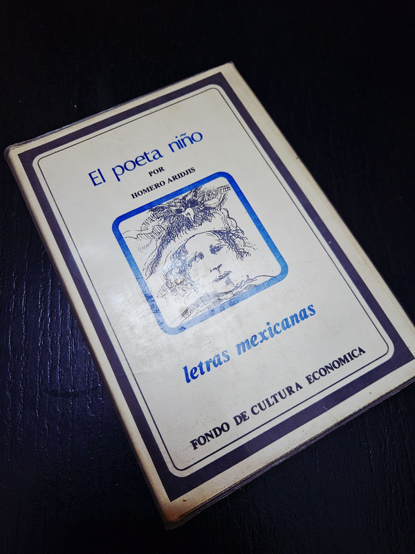 El poeta niño