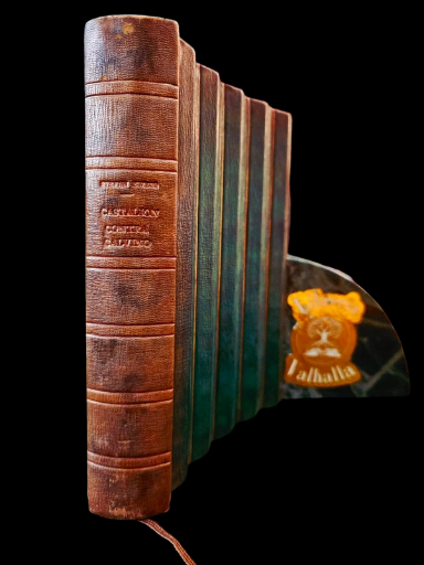 Castellio contra Calvino, Zweig