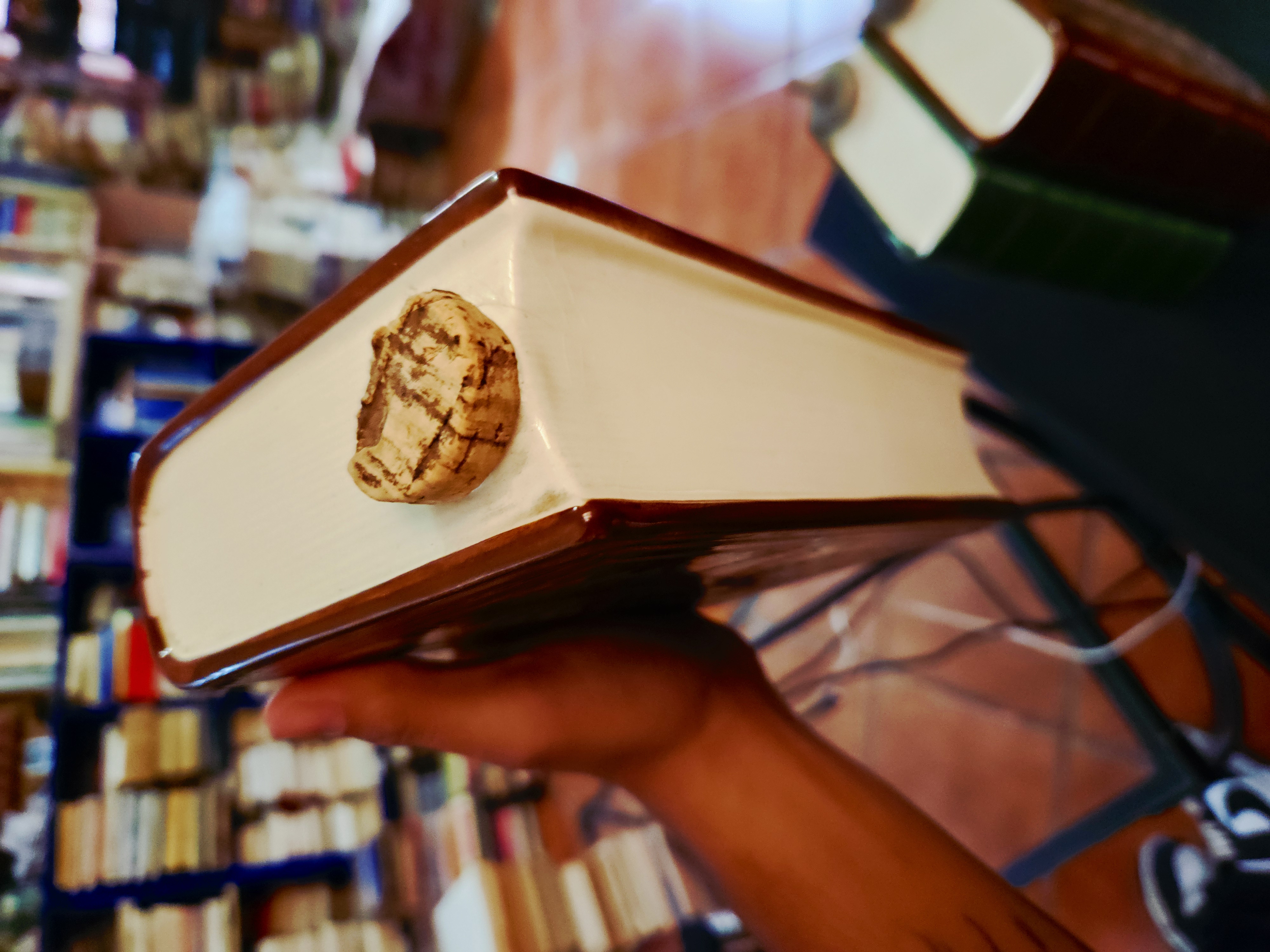 LICORERAS EN FORMA DE LIBRO