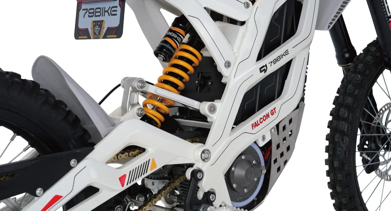 2025 79BIKE FALCON GT