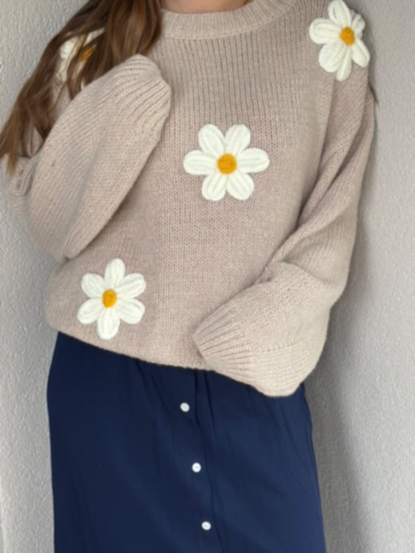 Pull Margueritte 