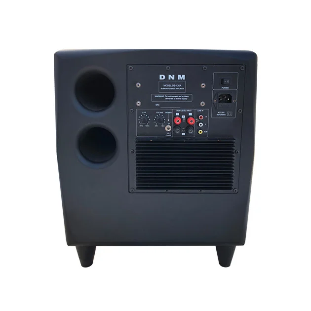 PACE DIAMOND 12 SUBWOOFER 
