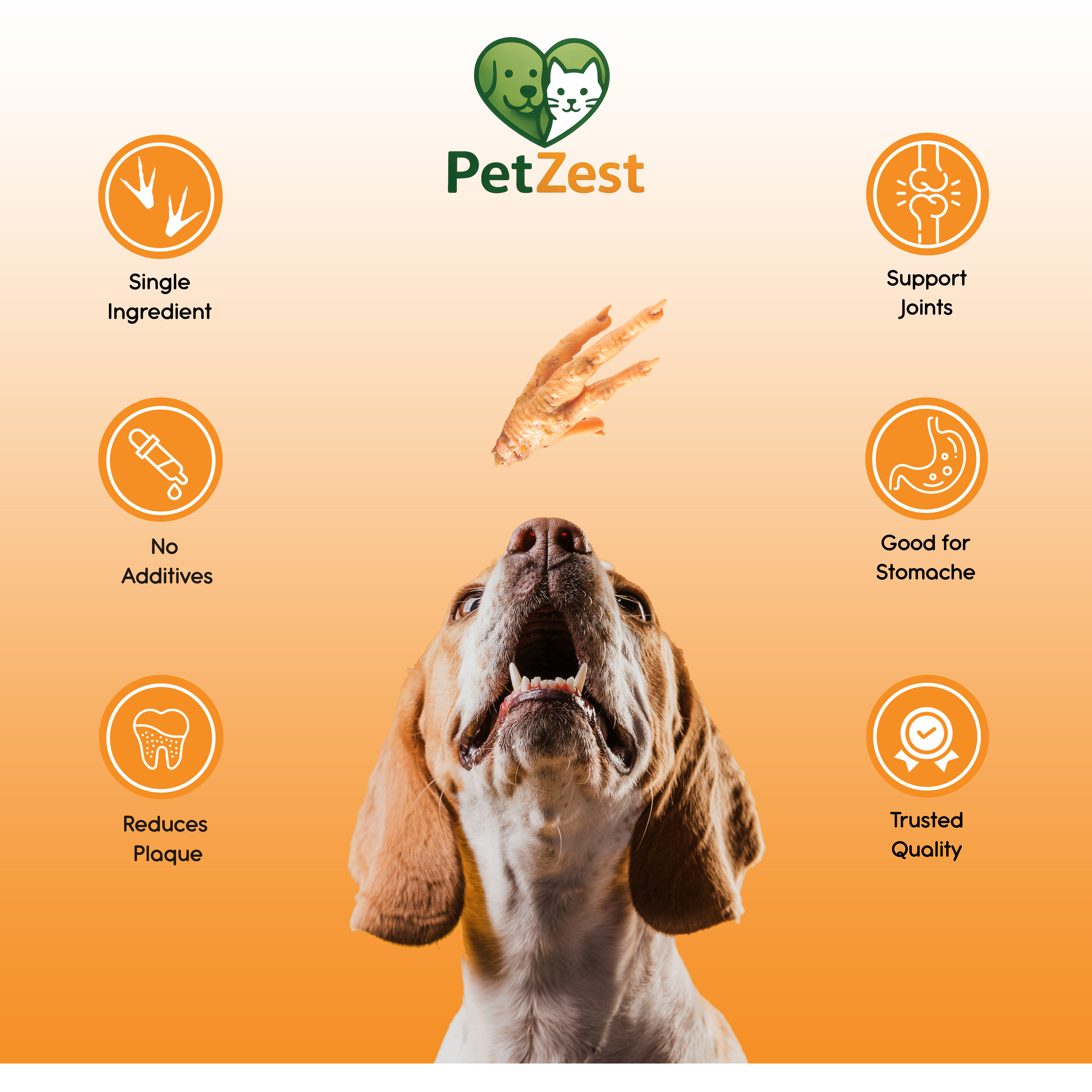 Crunchy Chicken Feet Dog Treats - Dehydrated & Natural 100gm