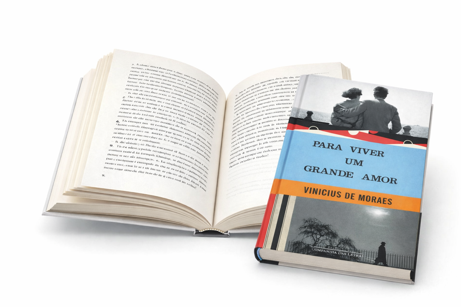 Para Viver um Grande Amor