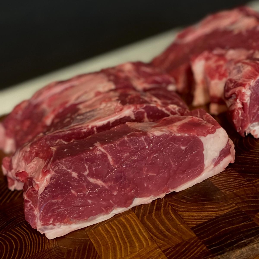 VRĂBIOARĂ SCOTTONA ANGUS - SPANIA 🇪🇸