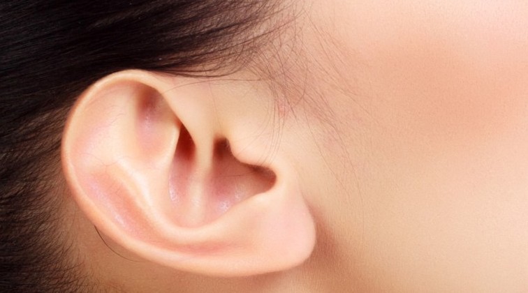 Threading - Sideburns