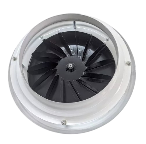 Extractor parrillero 10" (25 cm)