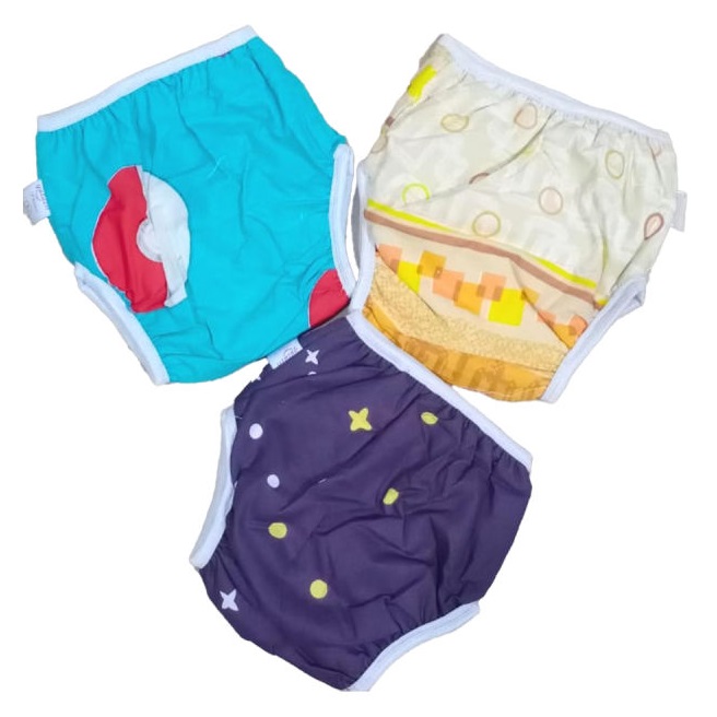 Reusable Training Pants Diapers Pack Of 3