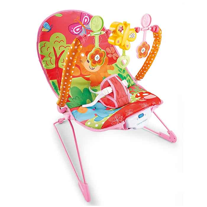 Baby Rocker - Music & Soothe Bouncer