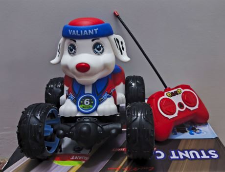 Remote Control Paw Patrol Car