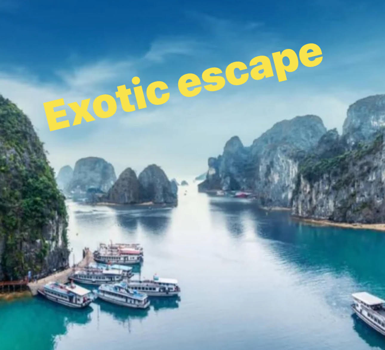 Exotic Escape