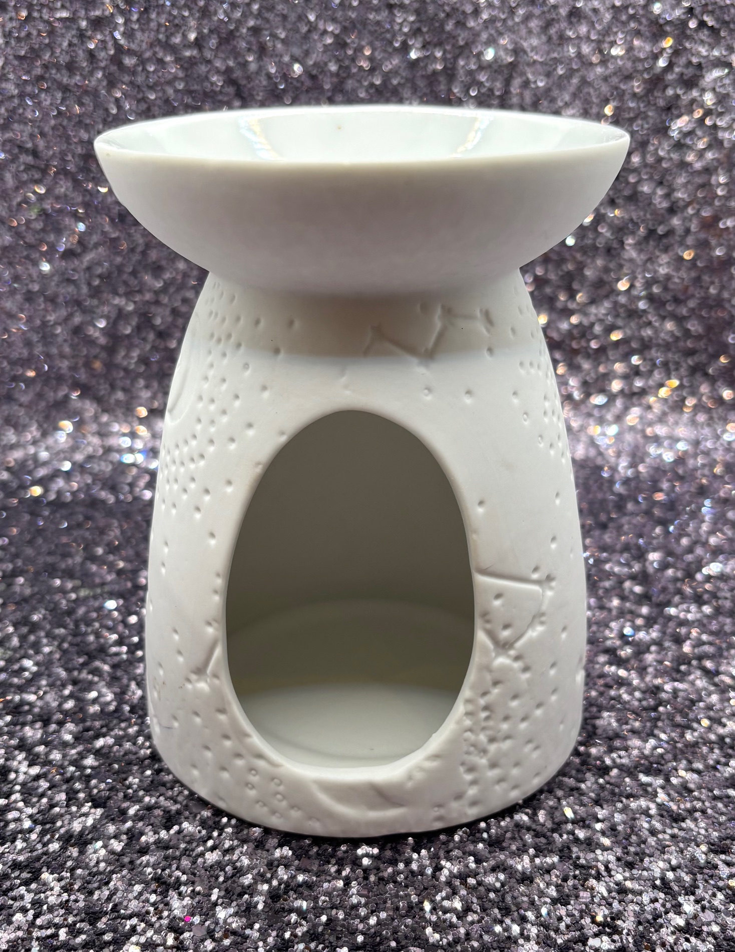 Ceramic Wax Melter