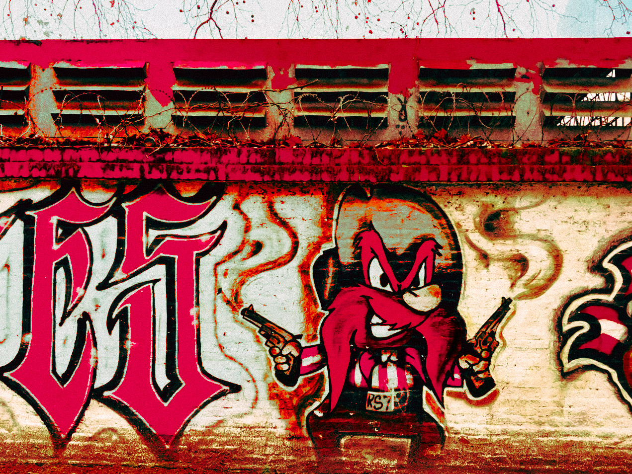 2 FOTOS  10 X 15 X 85 GRS.