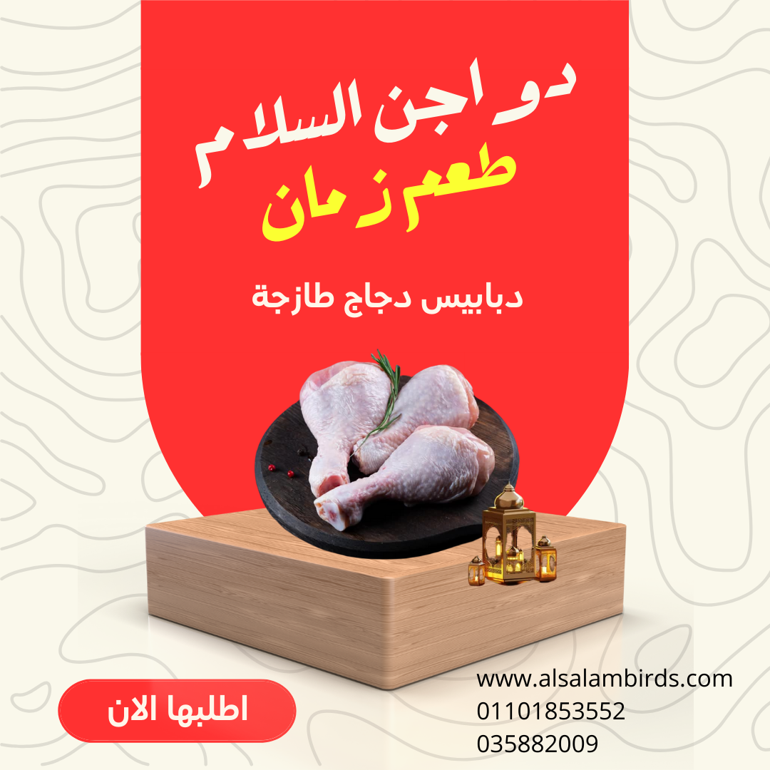 دبابيس الدجاج الطازج