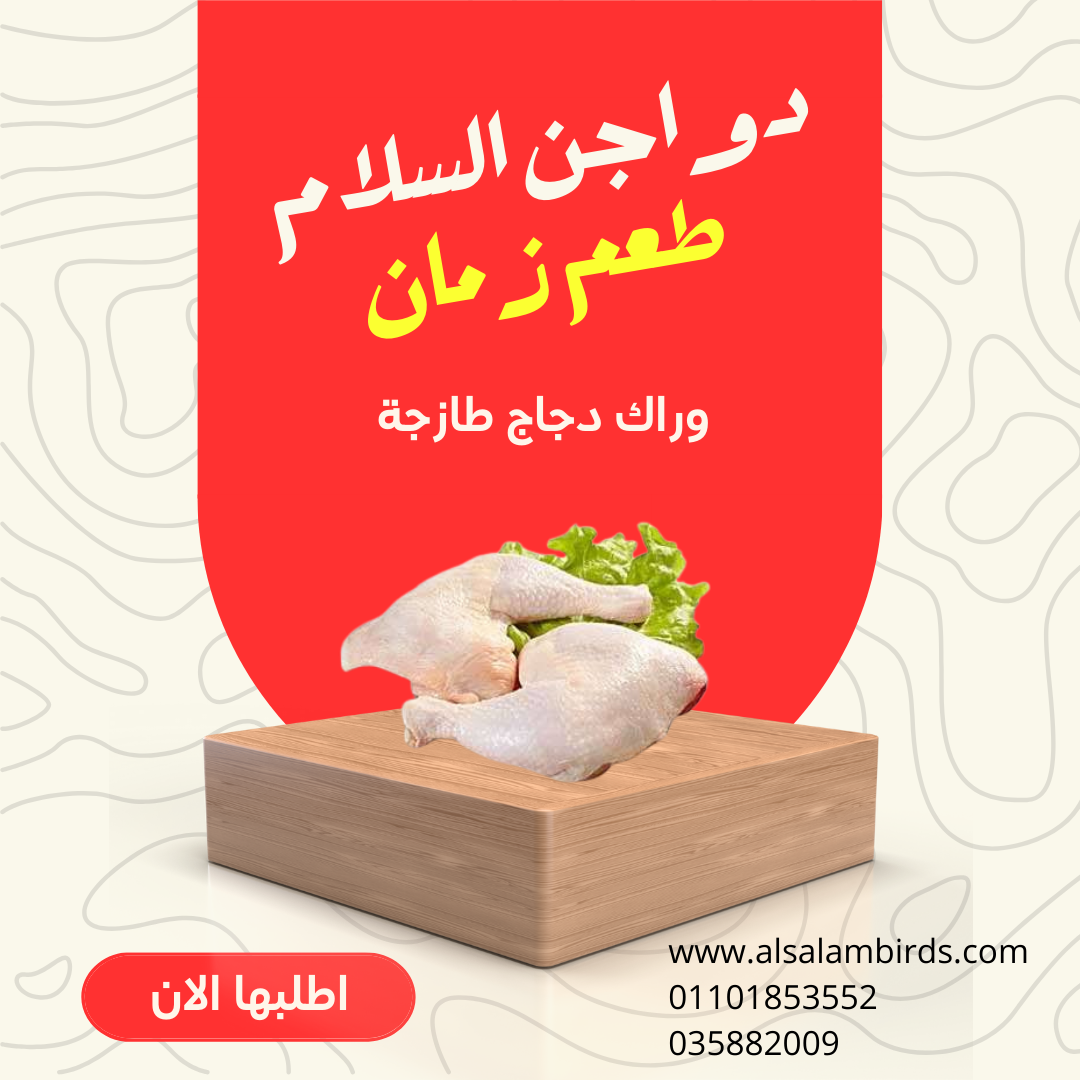 وراك دجاج طازجة