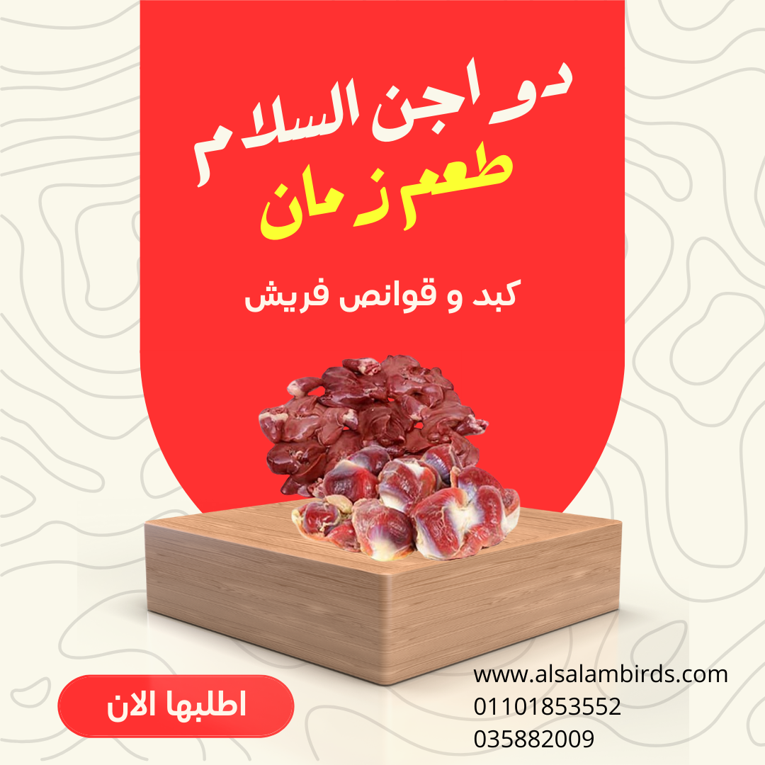 كبد و قوانص دواجن