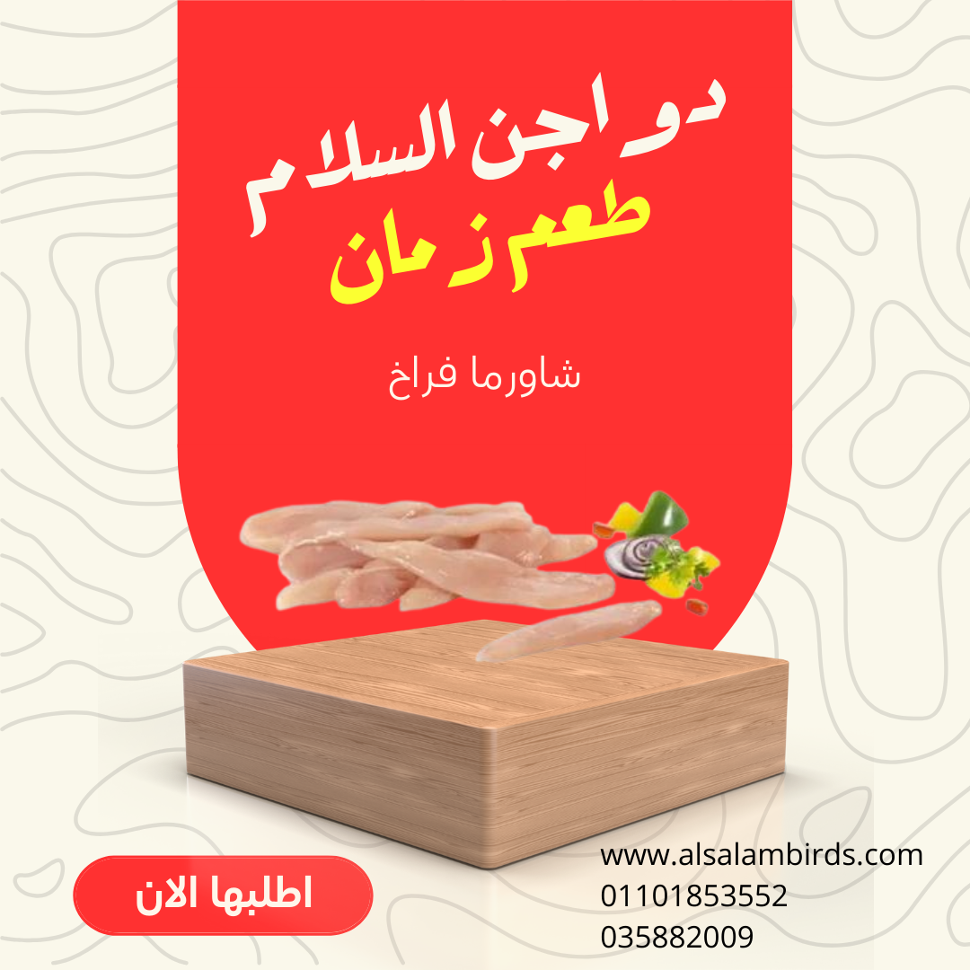 شاورما فراخ