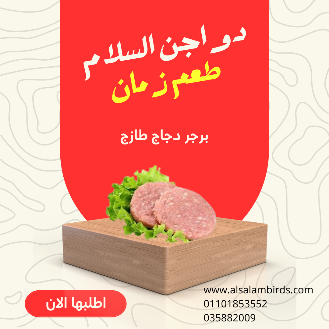 برجر دجاج طازج