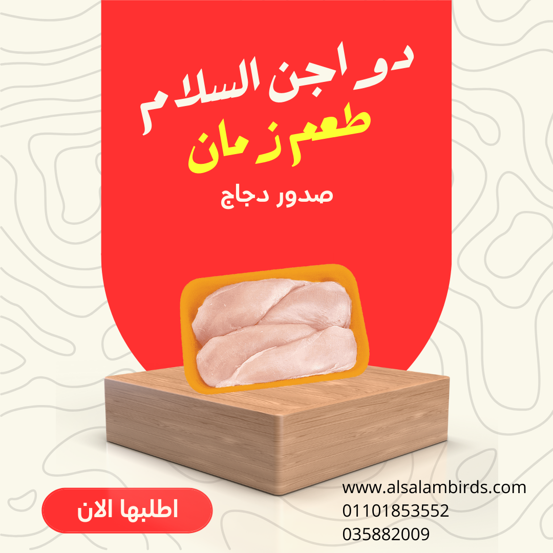 صدور دجاج دو أجن السلام