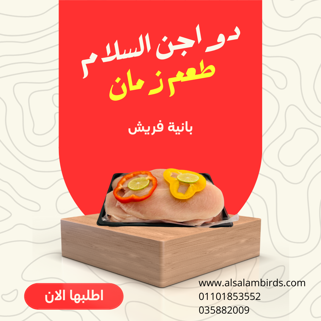 دجاجة كاملة طازجة