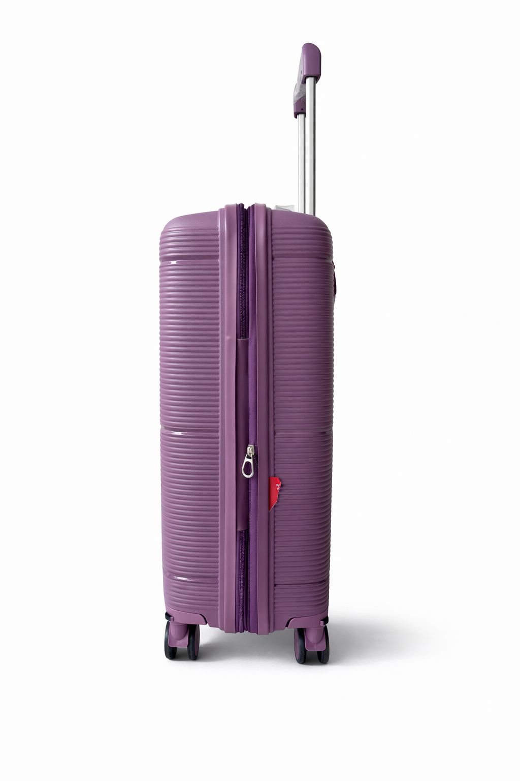 Mala Pequena de Bordo Liz Roxo 10 KG