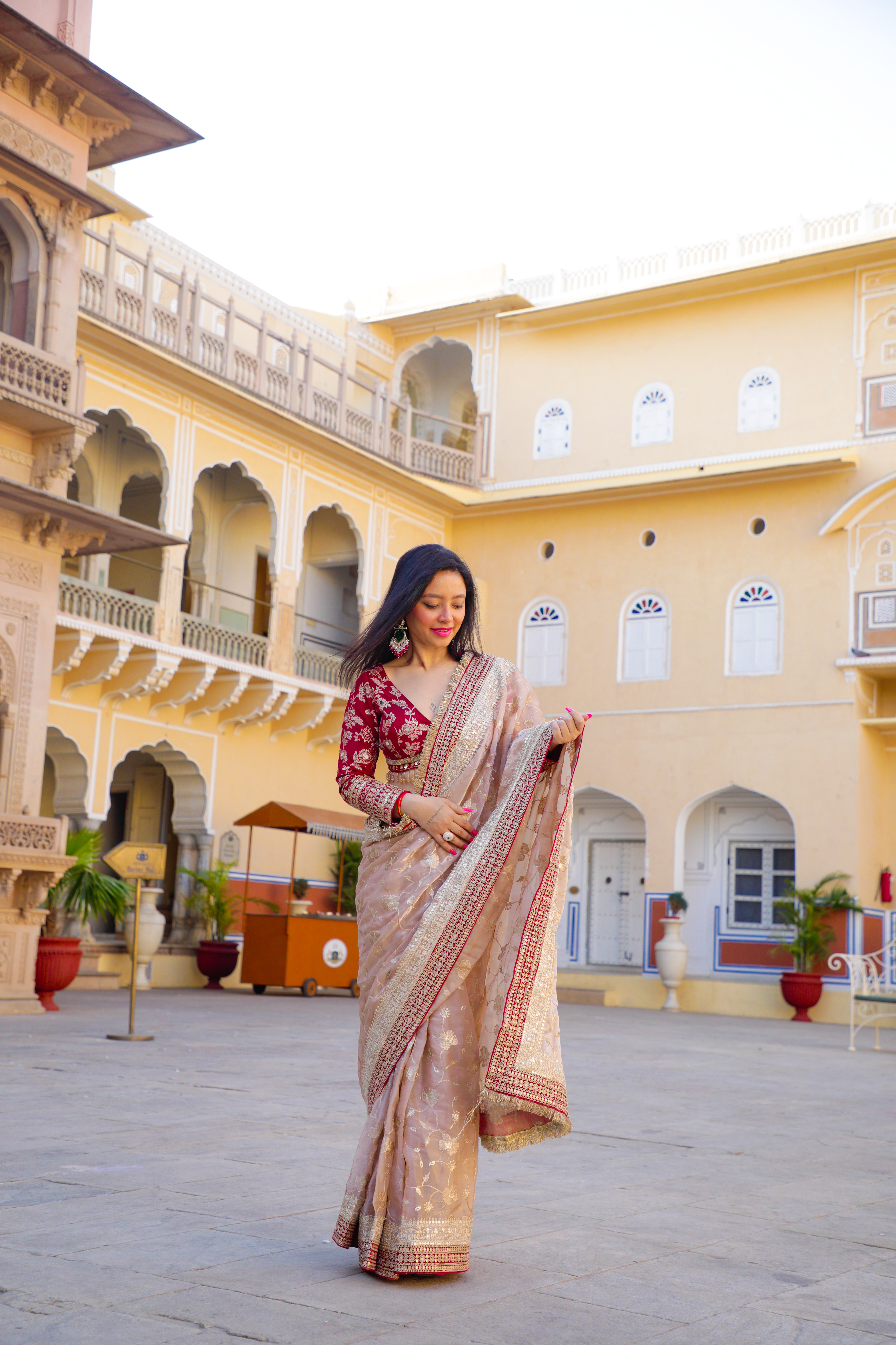 Traditional Beige Saree with Designer Blouse