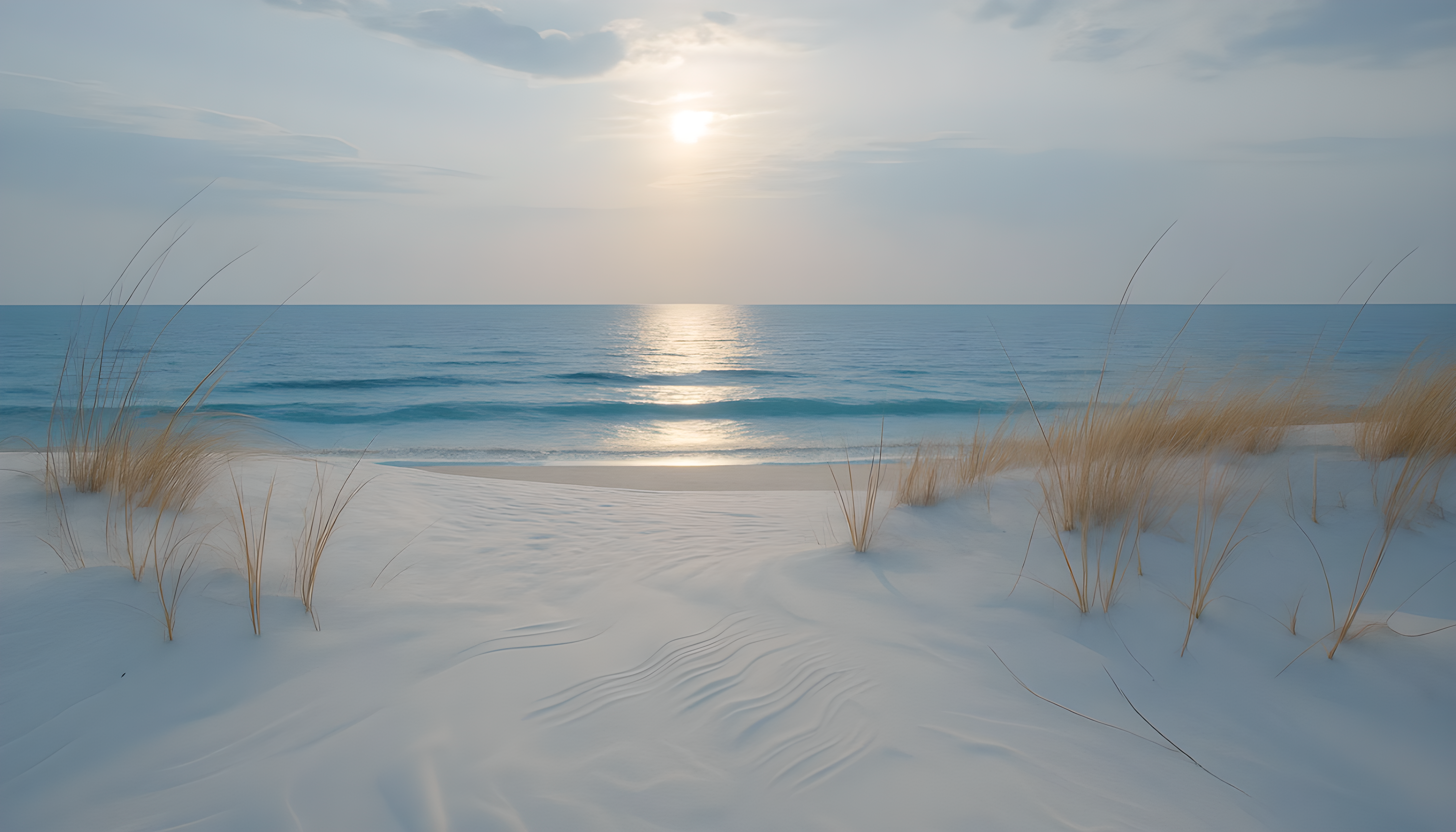 Coastal Sand Dunes Landscape Print