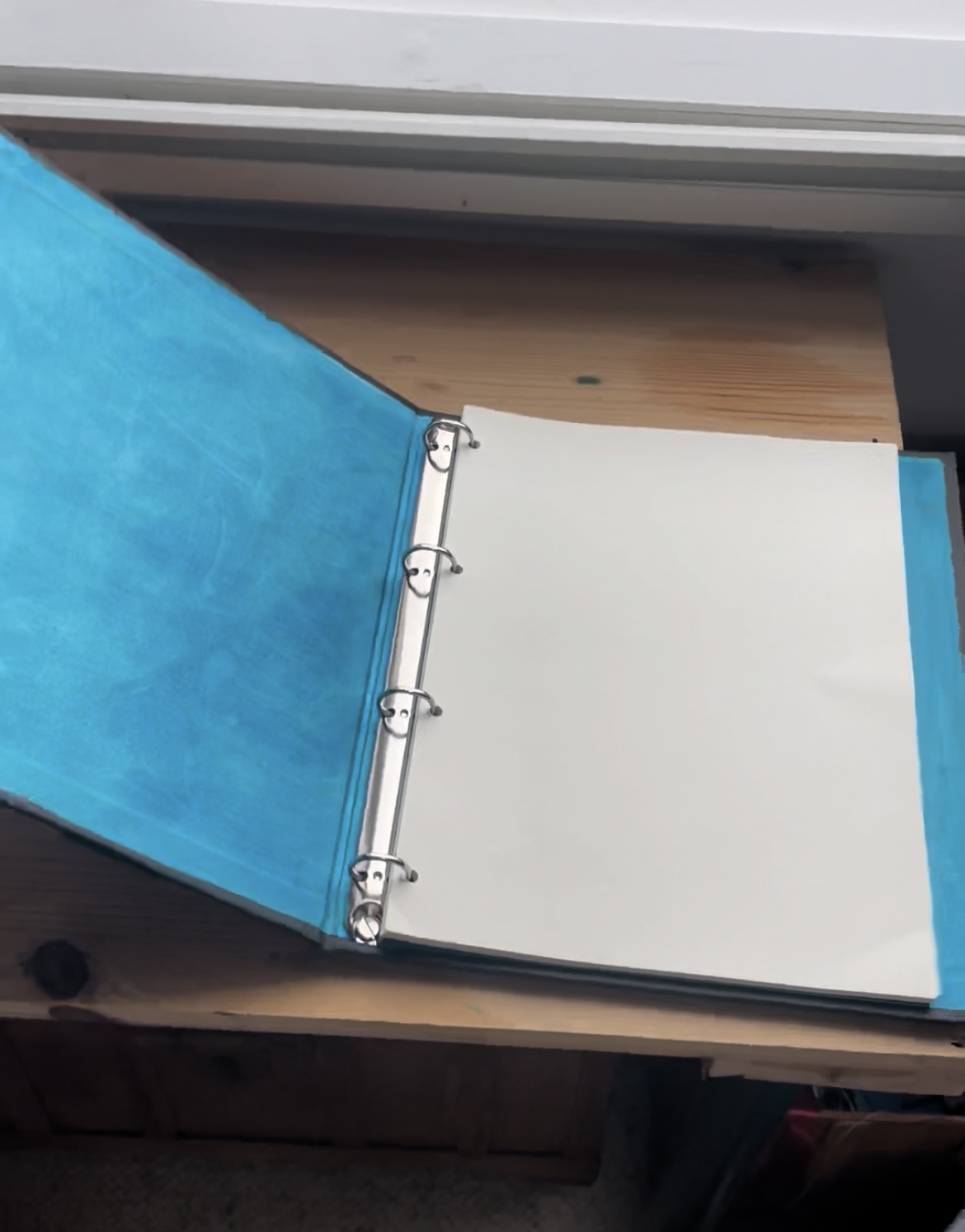 A4 dragon journal