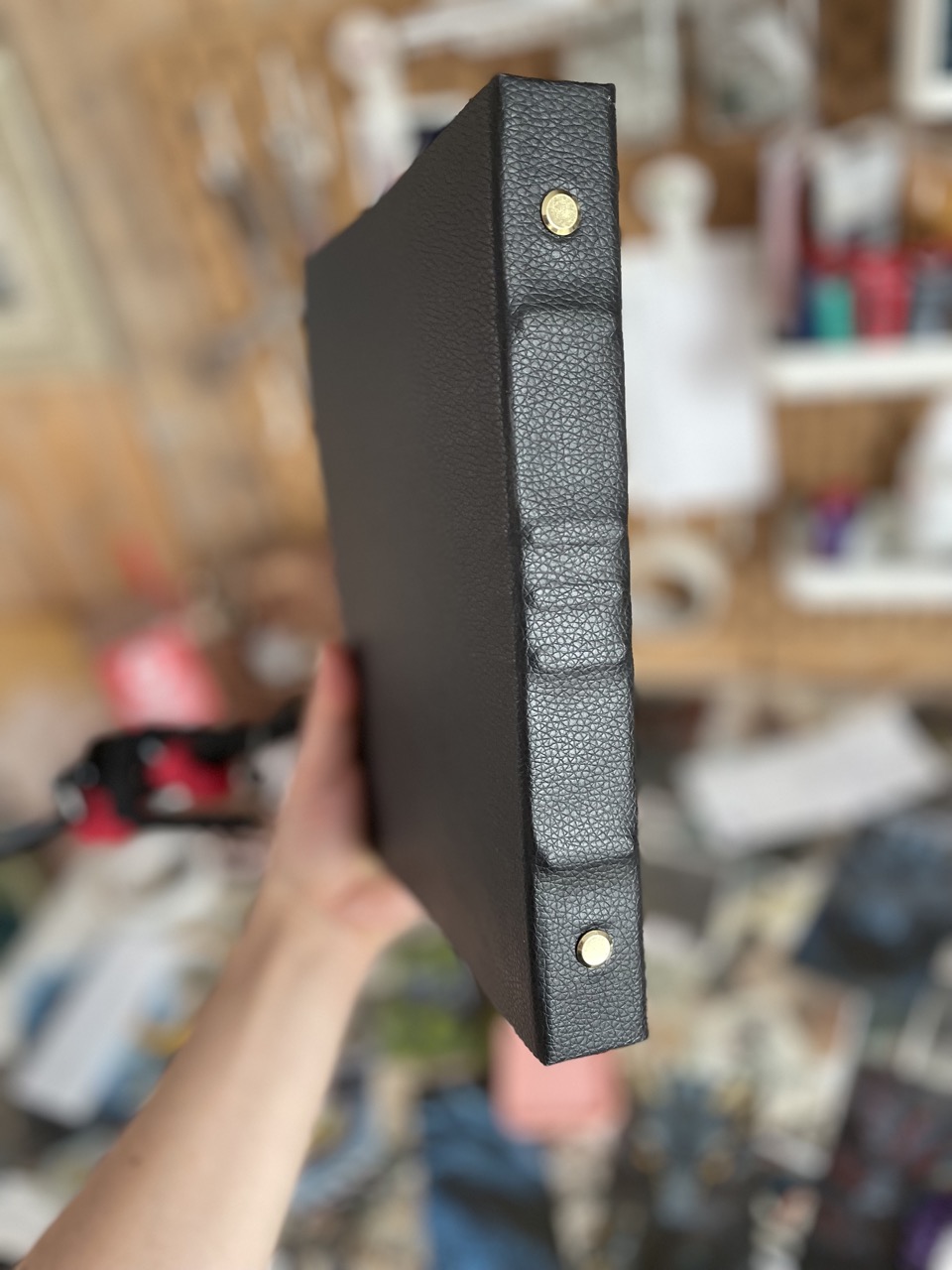 A5 Three Eyed Dragon Journal with gold ring binder