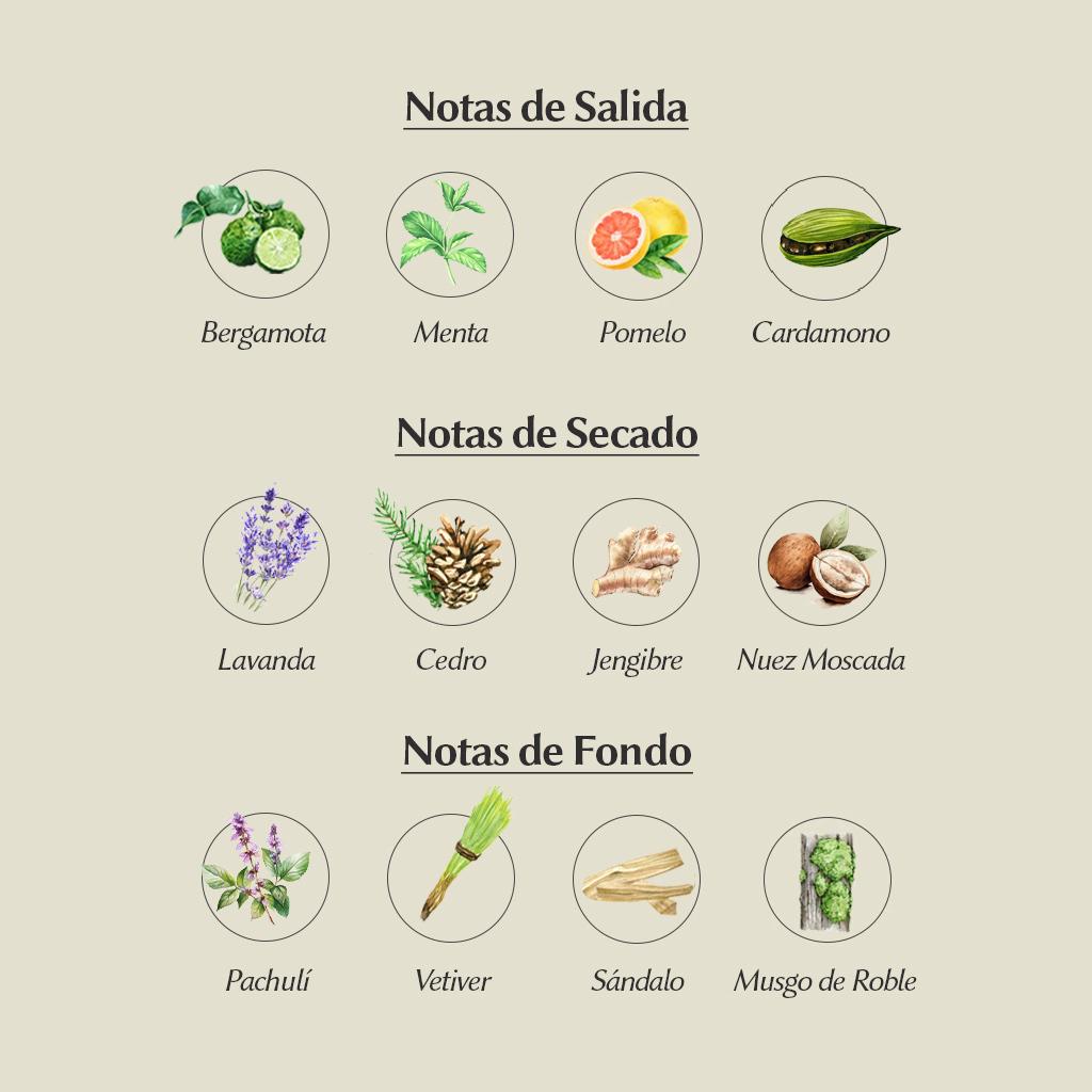 Club De Nuit Urban Man