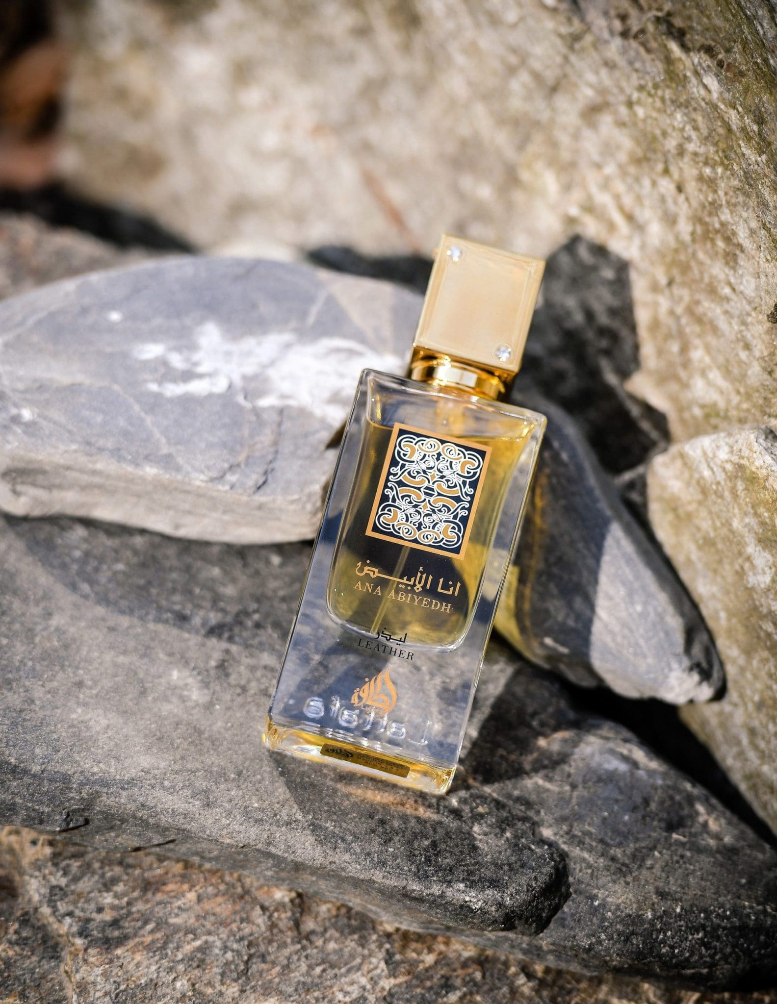 Ana Abiyedh Leather