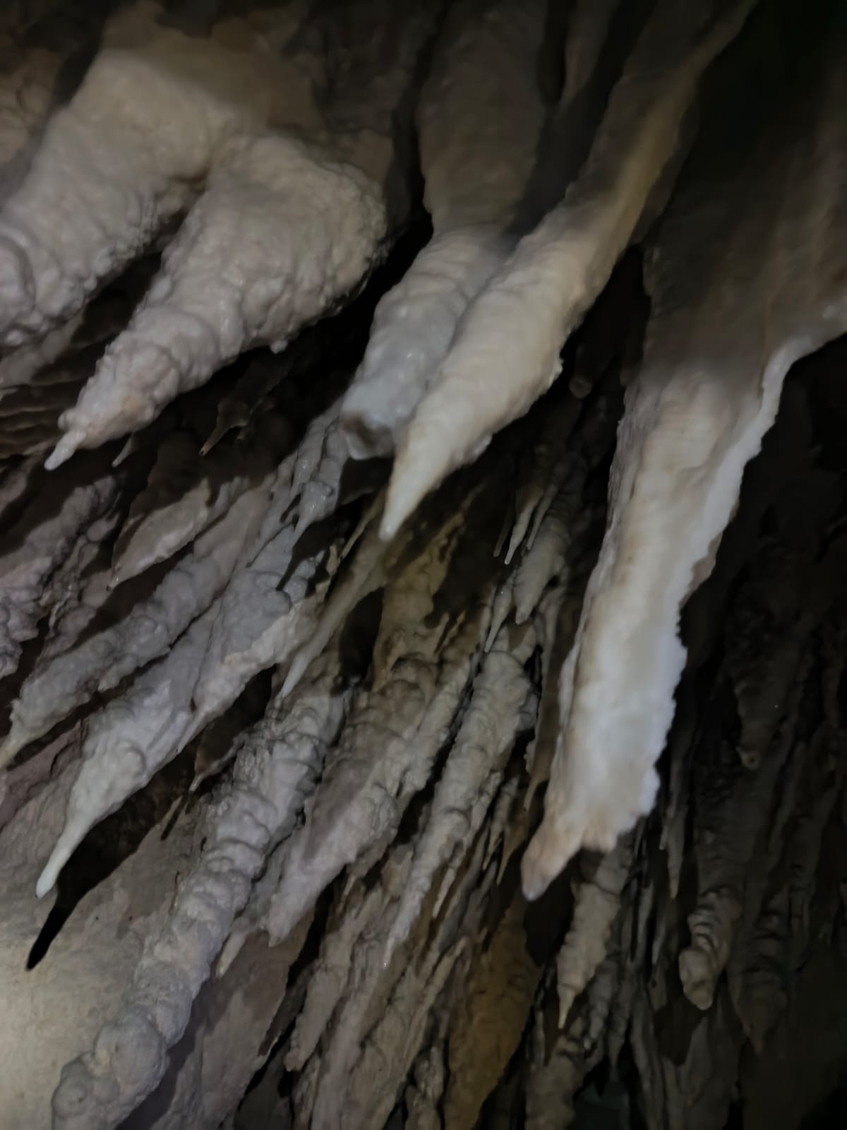 Exploración de las Cuevas de Copete: Aventura Subterránea y Caminata por Montaña