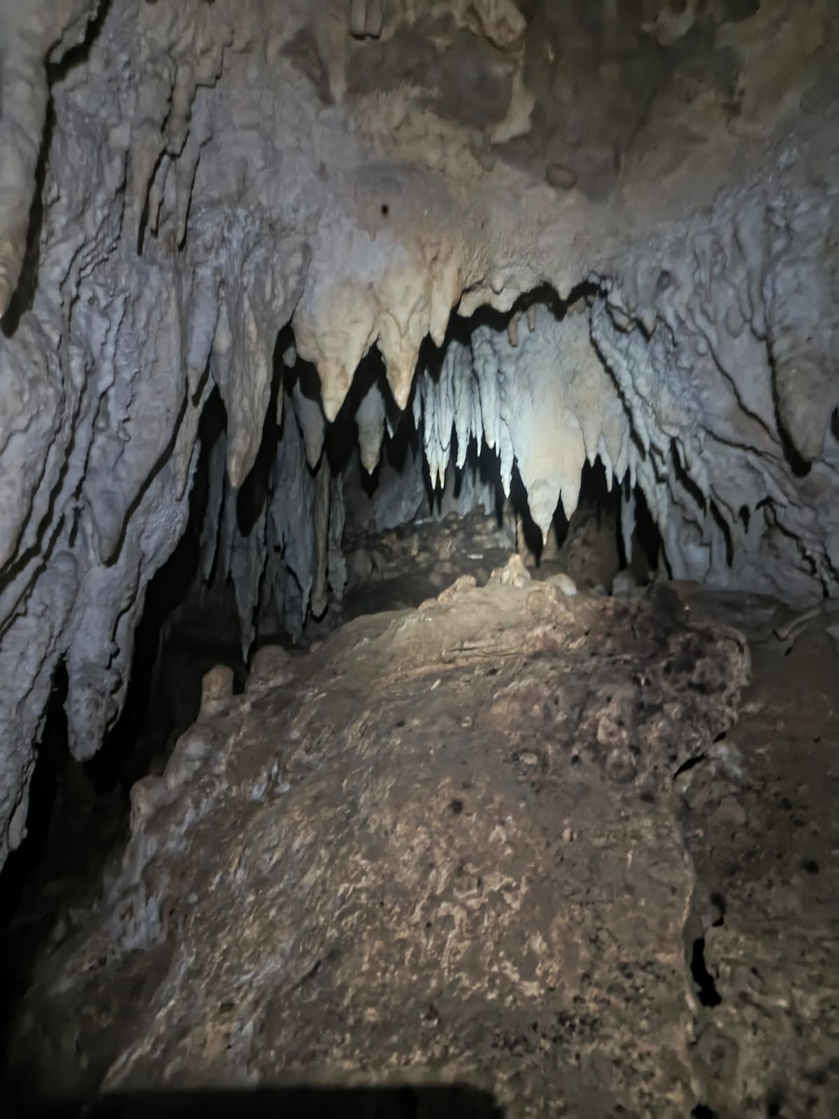 Exploración de las Cuevas de Copete: Aventura Subterránea y Caminata por Montaña