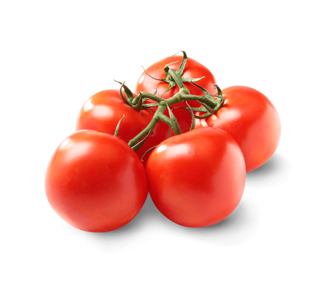 Tomato vine 