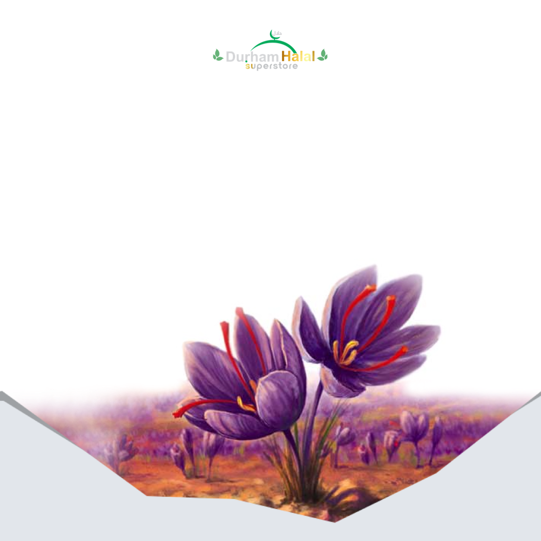 Anjoman Saffron 1g