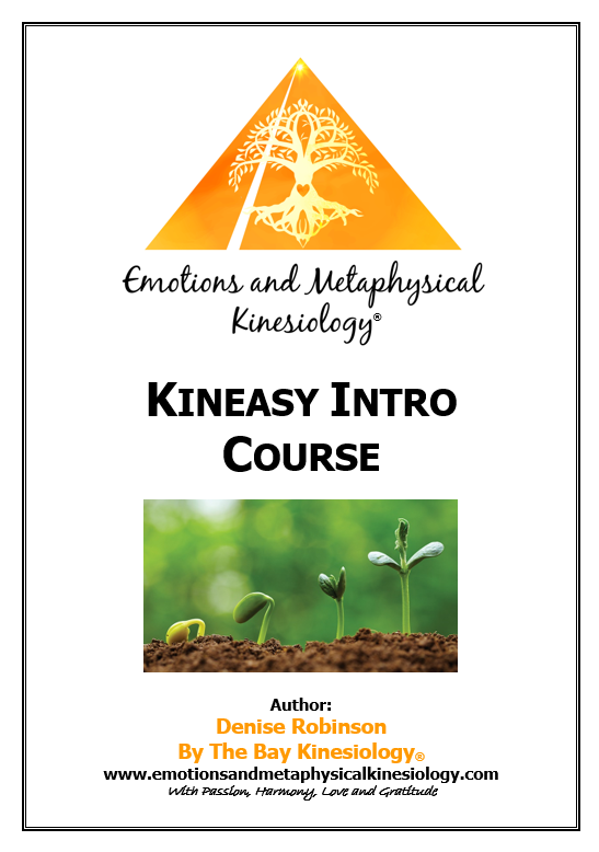 Kineasy Intro Course - Enrolment - GEELONG